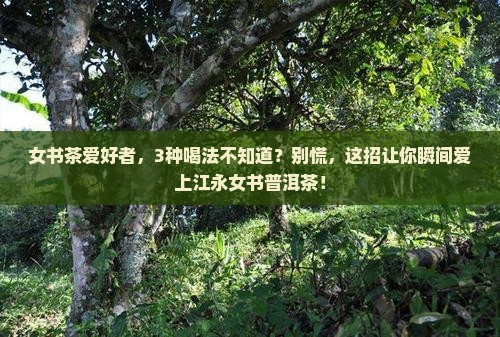 江永女书普洱茶