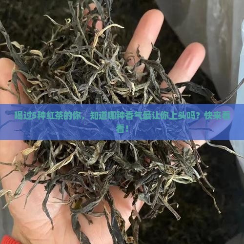 红茶香气的主要特点是