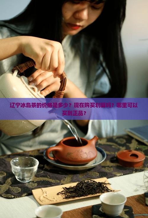 辽宁冰岛茶价格