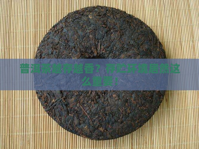 普洱茶存贮环境问题