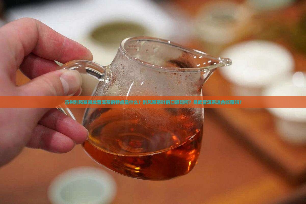古树刮风寨易武普洱茶特点