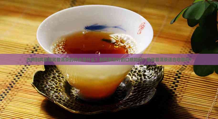 古树刮风寨易武普洱茶特点