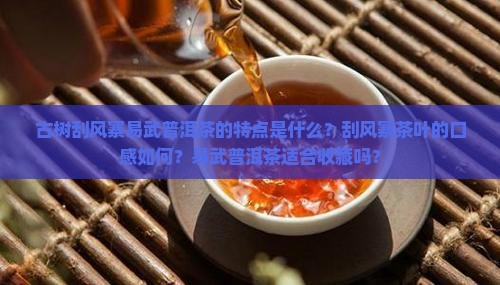 古树刮风寨易武普洱茶特点