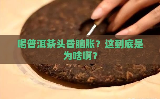 喝普洱茶引起的头晕怎么办 喝普洱茶引起的头晕怎么办