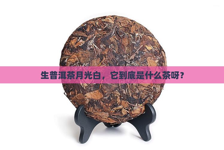 生普洱茶月光白属于什么茶