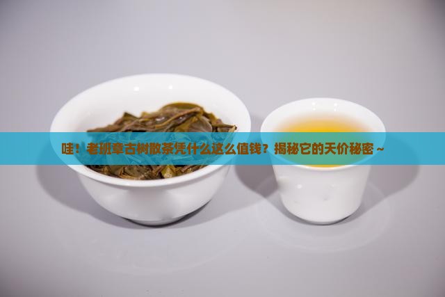 老班章古树散茶的价值