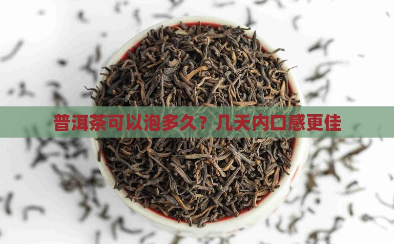 老普洱茶可以泡几天