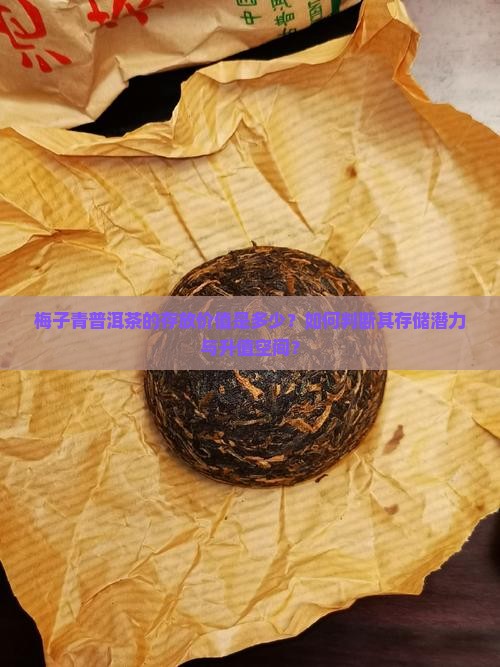 梅子青普洱茶存放价值多少