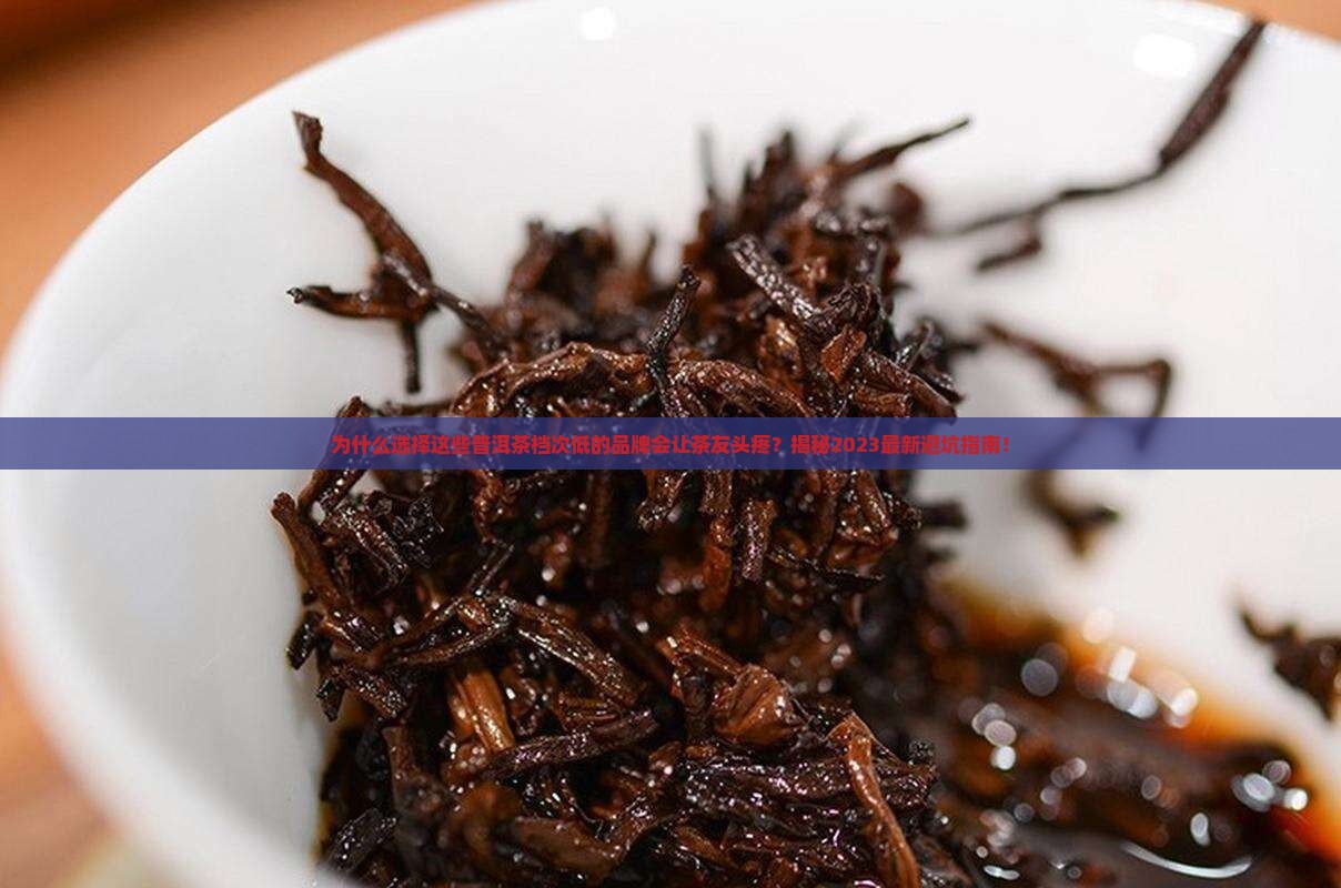 普洱茶档次低的品牌有哪些