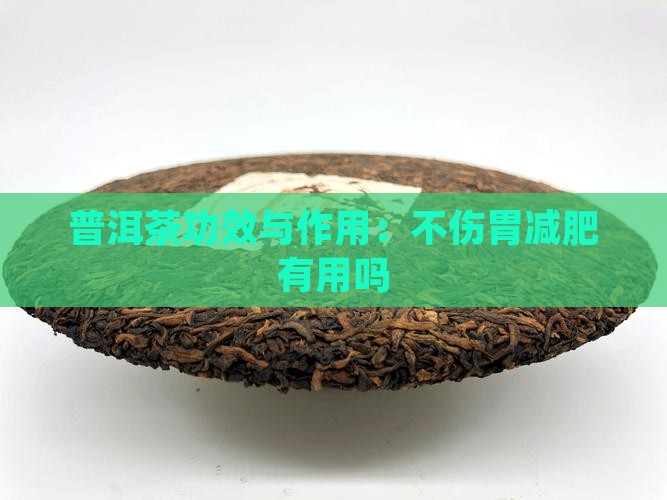 普洱茶不伤胃减肥有用吗