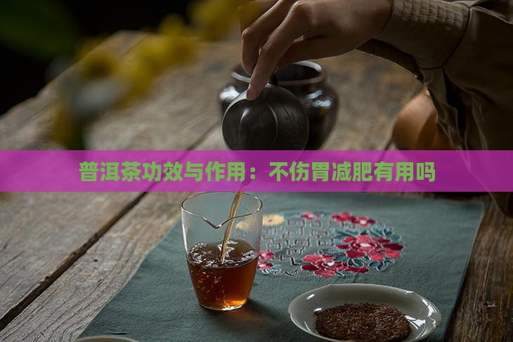 普洱茶不伤胃减肥有用吗