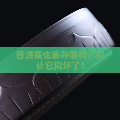 普洱茶需要拿出来通风吗