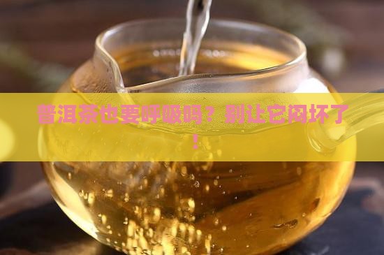 普洱茶需要拿出来通风吗