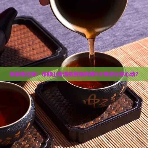 布郎山普洱茶特点