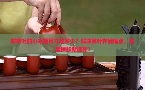 放茶叶的小冰箱尺寸
