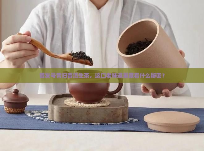 普发号昔归普洱生茶