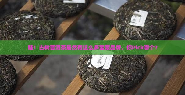 古树普洱茶有哪些品牌