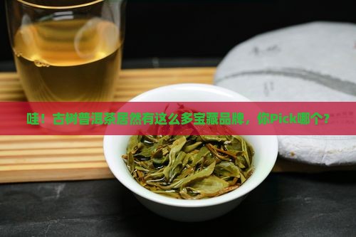 古树普洱茶有哪些品牌