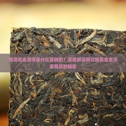 普洱茶金龙须是什么茶做的