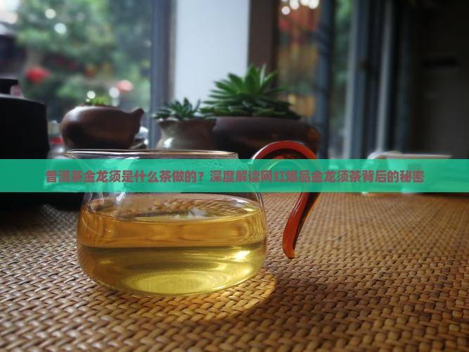 普洱茶金龙须是什么茶做的