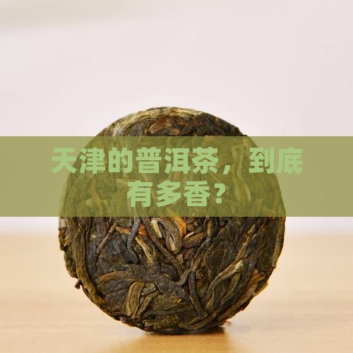 天津存储普洱茶