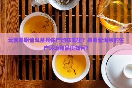 云南易明普洱茶产地地址