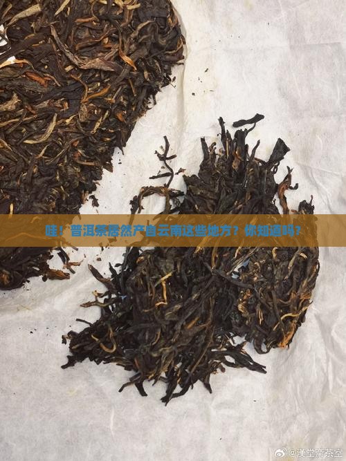 普洱茶都在云南什么地方