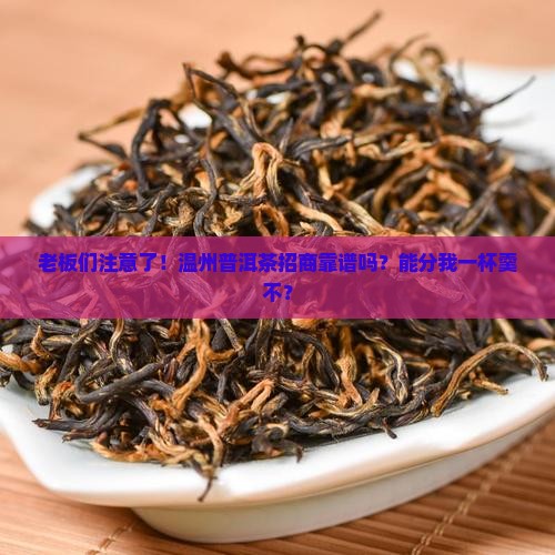 温州普洱茶招商