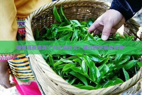 普洱茶喝了是上火还是去火