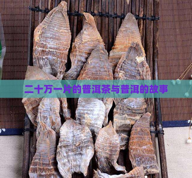 二十万一片的普洱茶