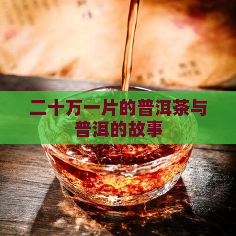 二十万一片的普洱茶