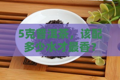 5克普洱茶能用多少水