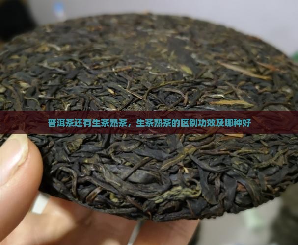普洱茶还有生茶熟茶