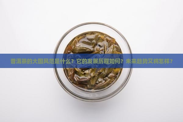 普洱茶大国风范