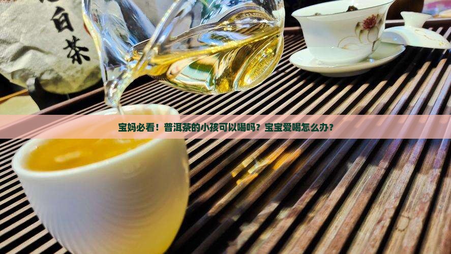 普洱茶的小孩可以喝吗