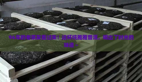 96年真纯雅普洱茶
