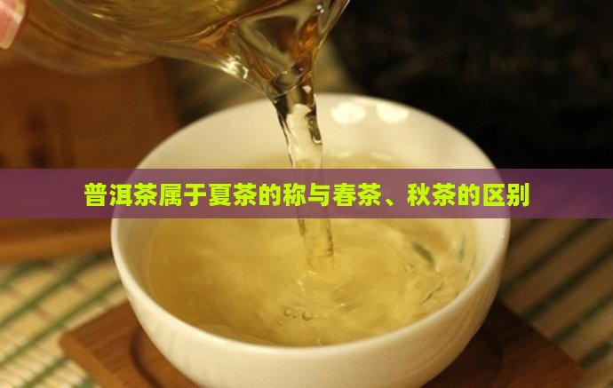 普洱茶属于夏茶的称
