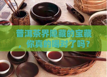 普洱茶有什么品种好的