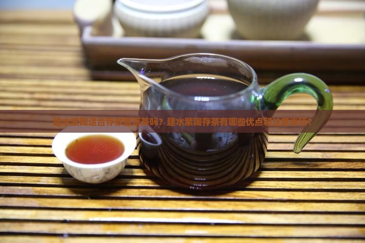 建水紫陶存放普洱茶好吗