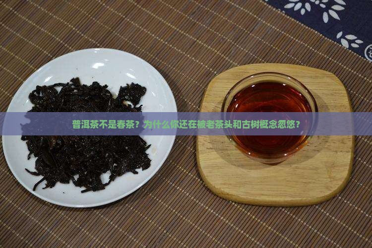 普洱茶不是春茶的原因