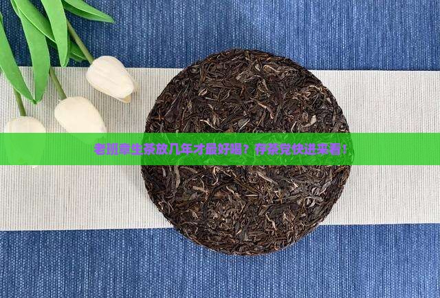 老班章生茶存几年口感好