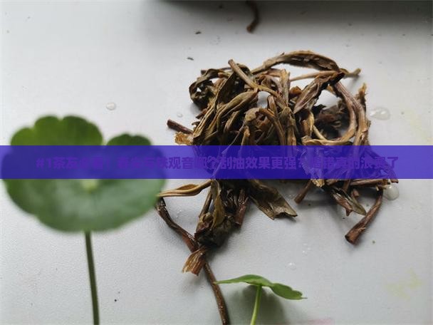 普洱茶春尖与铁观音的功效