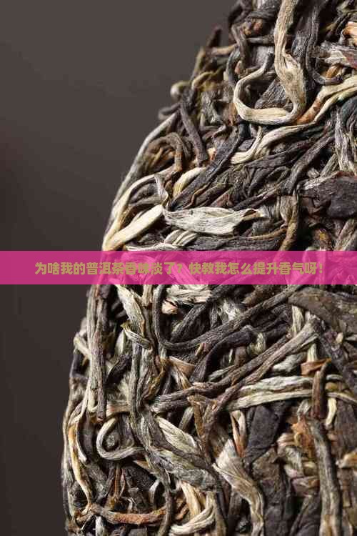 怎么提高普洱茶香气度呢