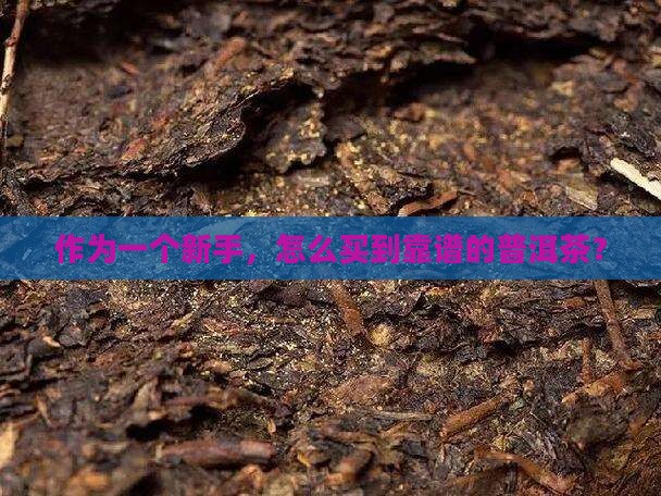 怎样买正规普洱茶