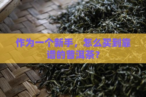 怎样买正规普洱茶