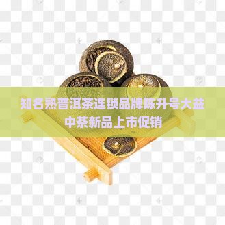 知名熟普洱茶连锁品牌