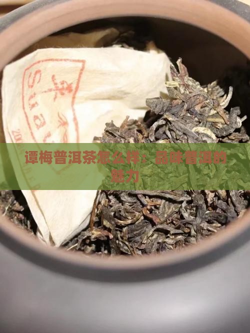 谭梅悠味普洱茶怎么样