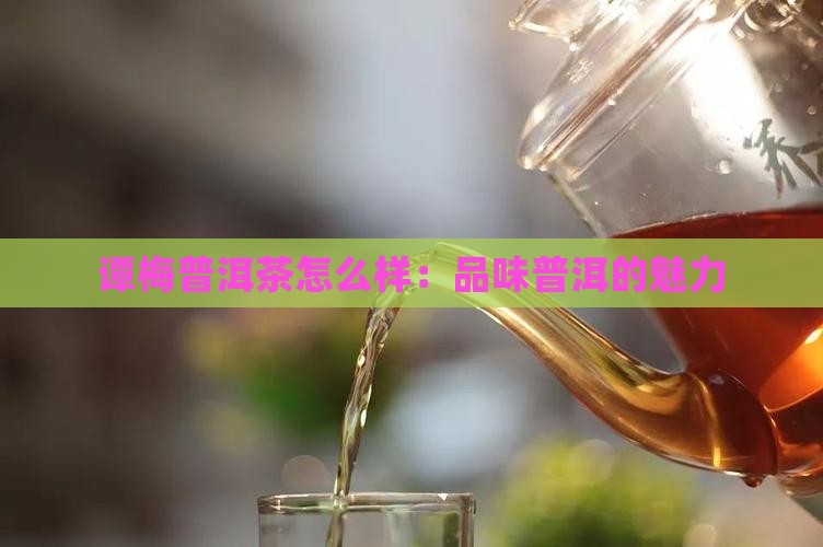 谭梅悠味普洱茶怎么样