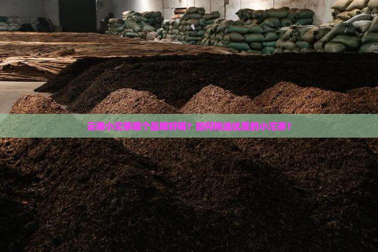 云南小沱茶哪个品牌好喝