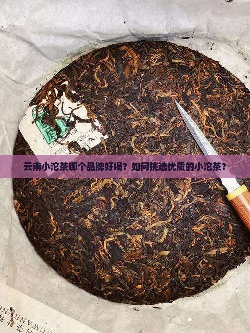 云南小沱茶哪个品牌好喝